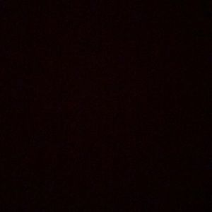 Meet your Posher, Ava